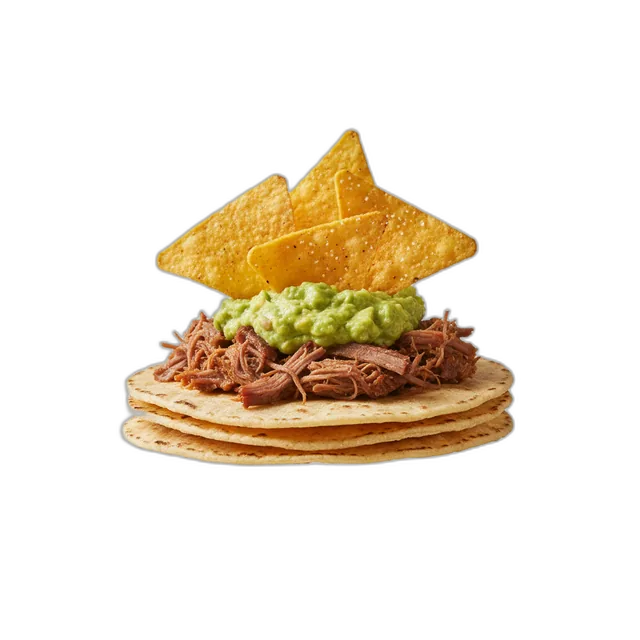 Mais Tortillas mit geschmortem Fleisch, Guacamole und Tortilla Chips