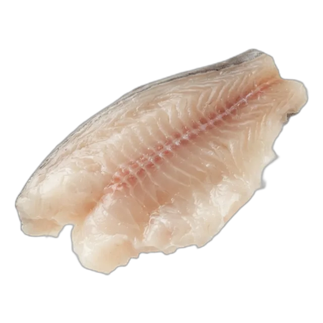 Pangasius